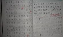 高二期末考试作文：丑陋是一笔财富_750字