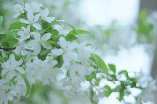 [像春天的好话]爷爷的“好药很苦” _800字