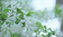 【良言如春】外公的“良药苦口”_800字