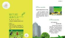 A Terrible Day可怕的一天_400字