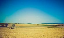 记忆中的外公家_900字