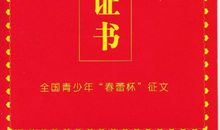 第八届 “春蕾”杯征文大赛决赛作文题目