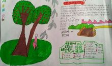 我是校园环保小卫士_200字