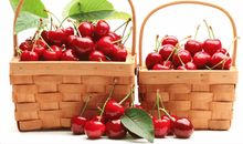 课余生活的日记：摘樱桃_250字