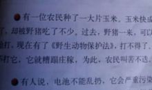 【环保作文】保护动物_700字