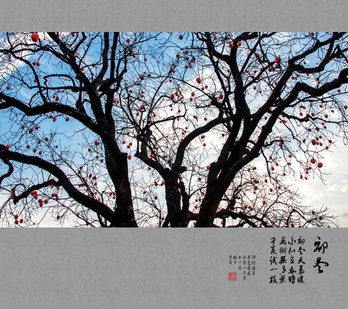 初冬之恋_900字