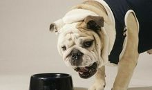 爱需要适温_500字