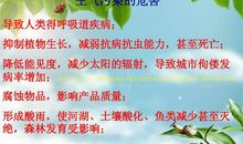 珍惜资源_450字