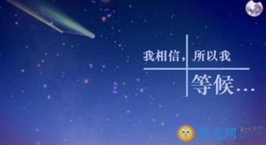 假日行情：七夕节爱情行情_1000字