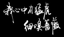 2003年高考重庆满分作文：猛虎与蔷薇_1500字