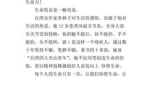 [PK赛]关于生命的作文：我想牵着你的手_800字