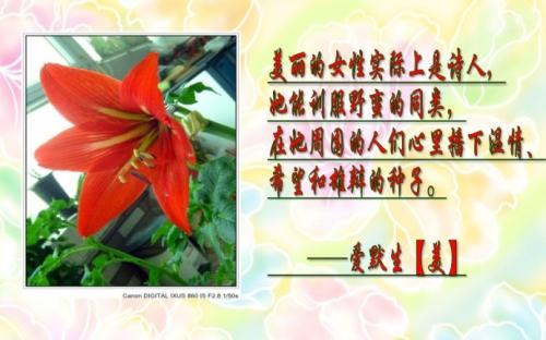 节日行情：传统节日的著名行情_450字