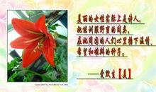 节日名言：传统节日的名人名言_450字
