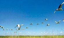 我爱秋天的美_250字