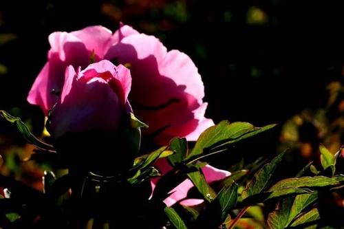 四个季节徘徊_700字