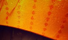 雨夜印象_1200字