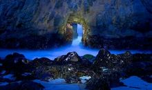 别致的风景_800字