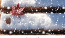 富有情趣的冬天_700字