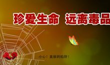 水=生命=发展=文明=美好未来_1200字