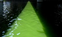 水——生命的摇篮_450字