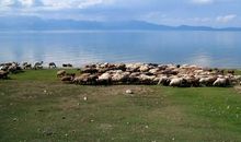 水库要消失了_600字