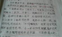 关于偶像的作文：身边的你,我的偶像_900字
