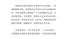 关于外婆的作文：外婆家的猫咪_650字