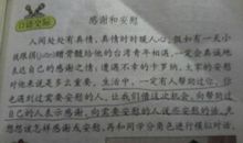 爱俏的妈妈_350字