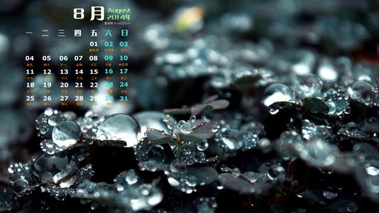 水-生命之源_750字