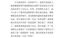 关于春节的作文：春节见闻_700字