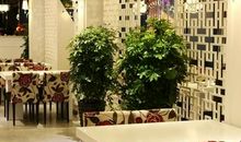 还乡路——外婆_1000字