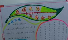 我的低碳生活_800字