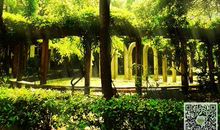 [自然--初二]春天的景色_400字