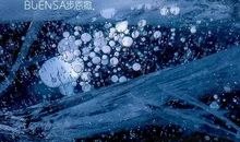 【环保作文】梦中世界_1200字