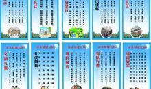 让文明伴我成长_750字