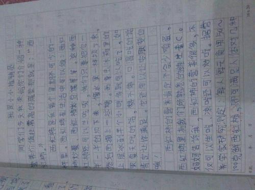 优美的段落（3）书和学习_250字