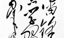 [PK赛]：雷锋日记_600字