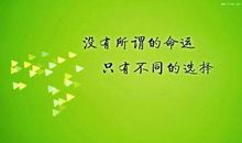献给我的麦粉以及关注我的人_800字