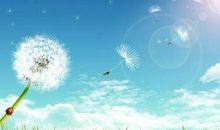 生命在于拼搏_900字