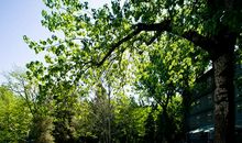 十七岁的单车_700字