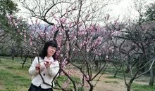 愿借天风吹得远，家家门巷尽成春