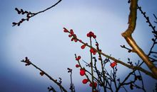 香闻流水处，影落野人家