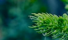 你是我心中最美的风景_750字