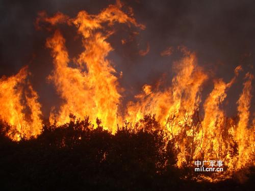 保护森林免受Fire_350字的侵害