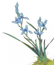 有一阵子，他无语了，他扭曲了梅花。