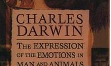 Men and Animals人与动物 _350字