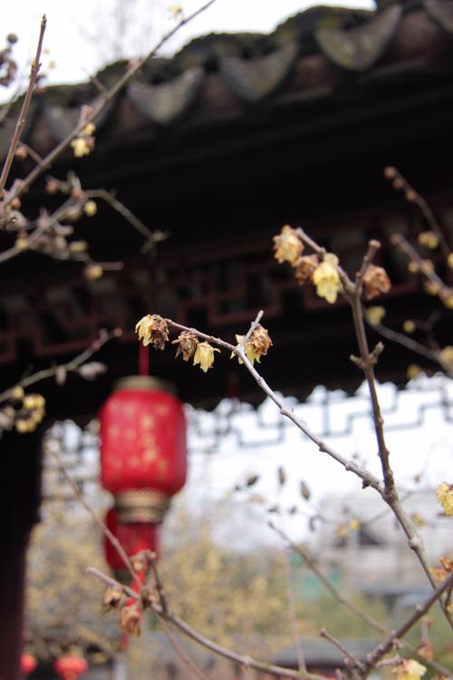 香气散布到天堂和心灵