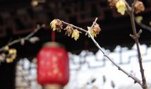 清香传得天心在，未话寻常草木知