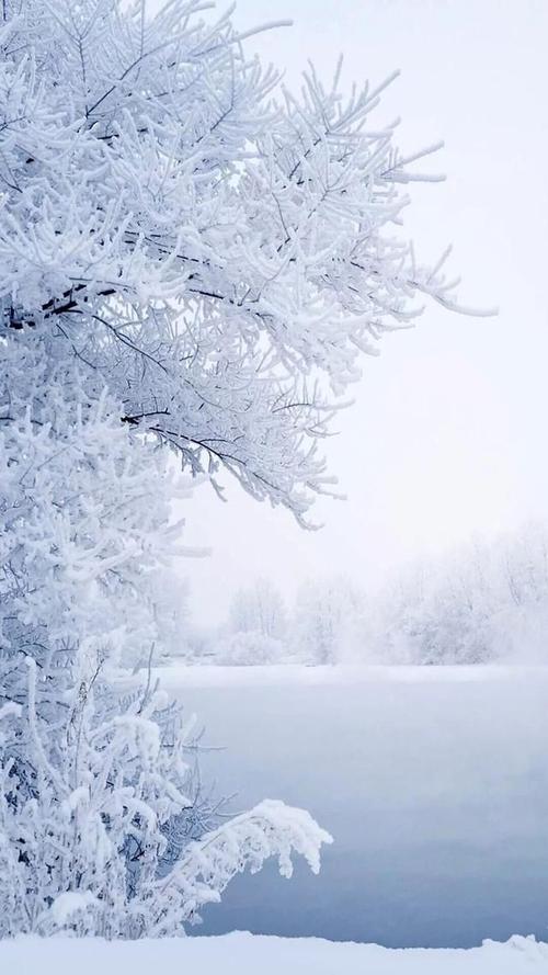 我不知道它是否在水花附近，有人怀疑它在冬天大雪之后没有出售