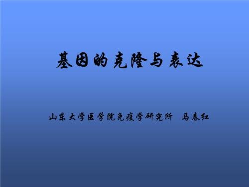 我想学习clone_200个单词